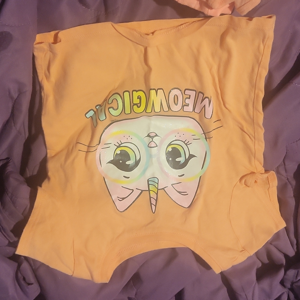 Gently used 2T short sleeve to shirts